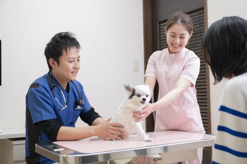 各務原市［中途愛玩動物看護師募集］