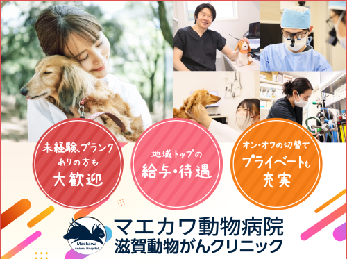 勤務5年目実績：35万～/月。サービス残業なし。