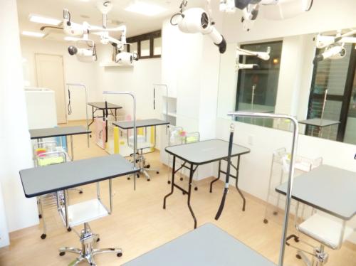 【経験者26万円〜】【新卒21万円〜】駒沢大学駅【トリマー】