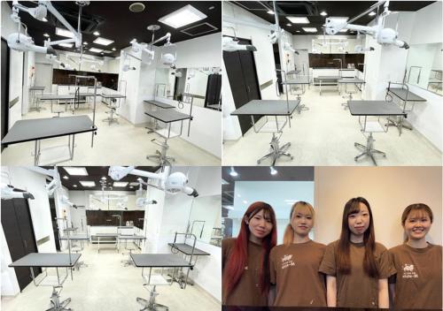 【経験者26万円〜】【新卒21万円〜】三軒茶屋駅【トリマー】