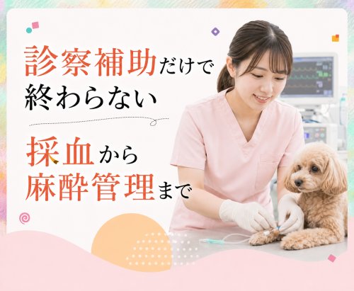 【長岡市/パート】愛玩動物看護師｜時給1200円〜・日祝休み