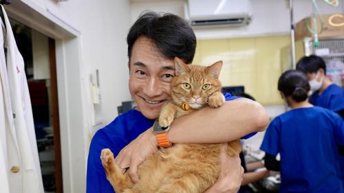 新卒歓迎｜一次診療から専門診療まで学べる！動物看護師募集中！