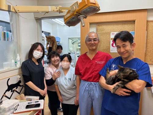 新卒歓迎｜一次診療から専門診療まで学べる！動物看護師募集中！