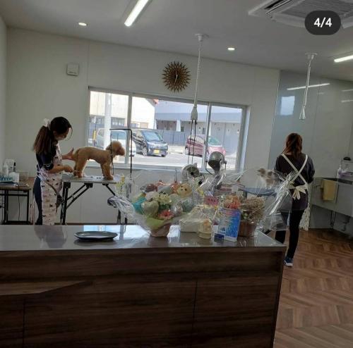 トリマー募集