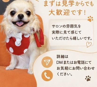 トリマーさん募集♪