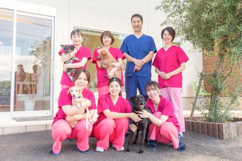 愛玩動物看護師募集