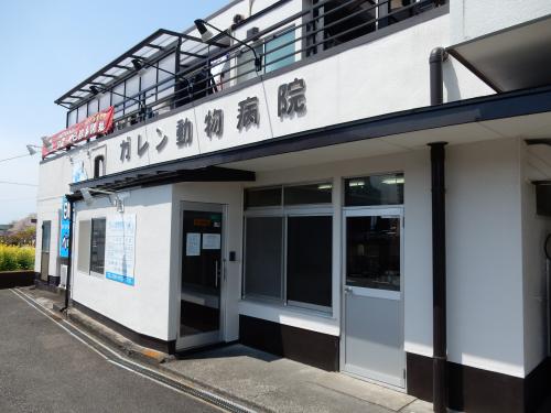 【新卒獣医師募集！】1年目から大学病院で専門診療を学べます