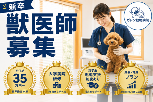 【新卒獣医師募集！】1年目から大学病院で専門診療を学べます