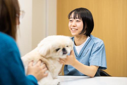受付スタッフ募集／渋谷・恵比寿・代官山の動物病院