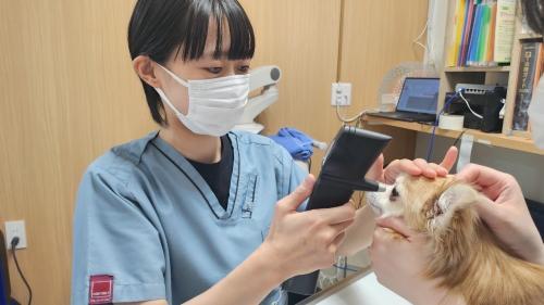 受付スタッフ募集／渋谷・恵比寿・代官山の動物病院