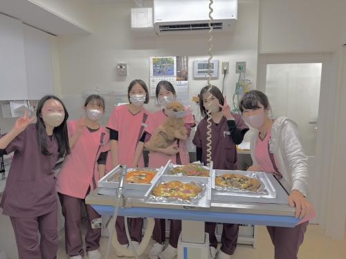【パート可】☆愛玩動物看護師☆募集中♪