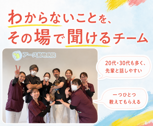 【動物看護師】資格手当2万｜完全週休2日｜相談しやすい職場