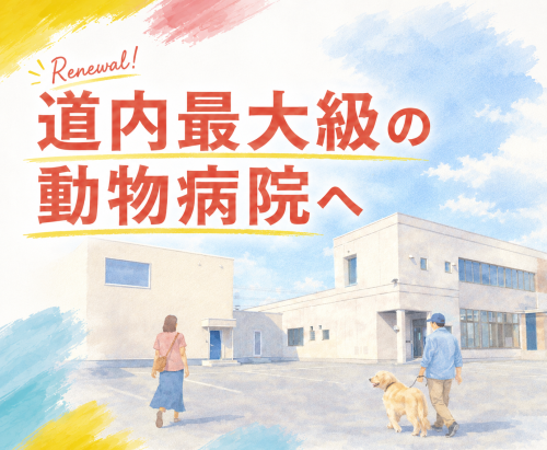 【動物看護師】資格手当2万｜完全週休2日｜相談しやすい職場