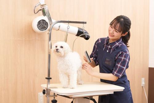 ペテモグルーミングサロン豊川店【パート】