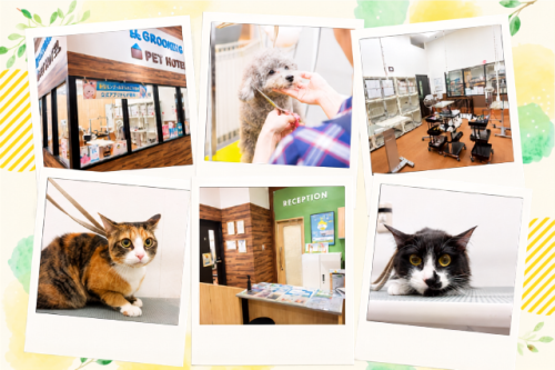 ペテモグルーミングサロン徳島店【パート】