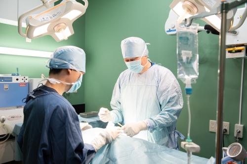 避妊去勢のスキルを活かして17時退勤！働き方も相談可能
