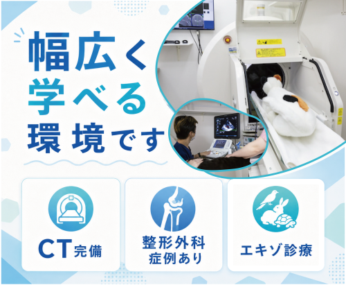 【獣医師】板橋区｜CT×整形外科×エキゾ｜有休98%