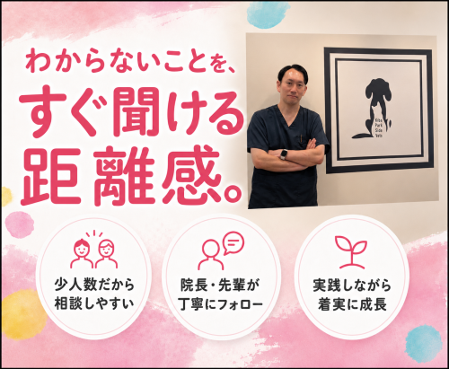 【江東区】動物看護師｜レアな完全週休2.5日制｜固定残業なし