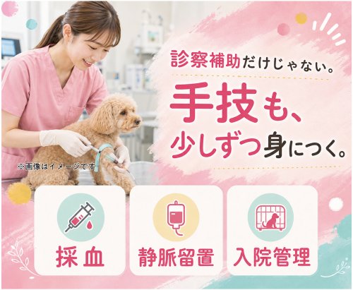 【江東区】動物看護師｜レアな完全週休2.5日制｜固定残業なし