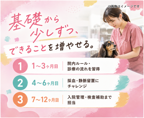 【江東区】動物看護師｜レアな完全週休2.5日制｜固定残業なし