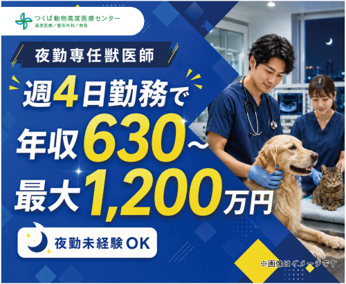 夜間救急獣医師｜週休3日で年収630万円〜前職給与保証