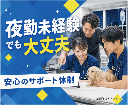 夜間救急獣医師｜週休3日で年収630万円〜前職給与保証