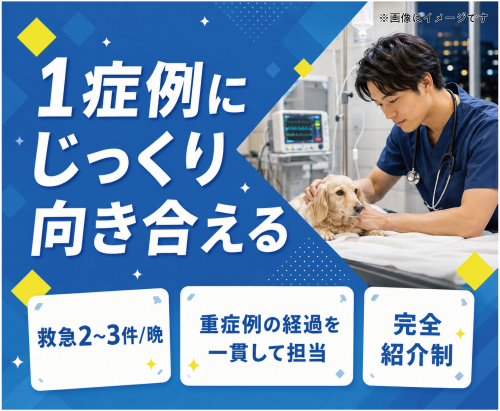 夜間救急獣医師｜週休3日で年収630万円〜前職給与保証