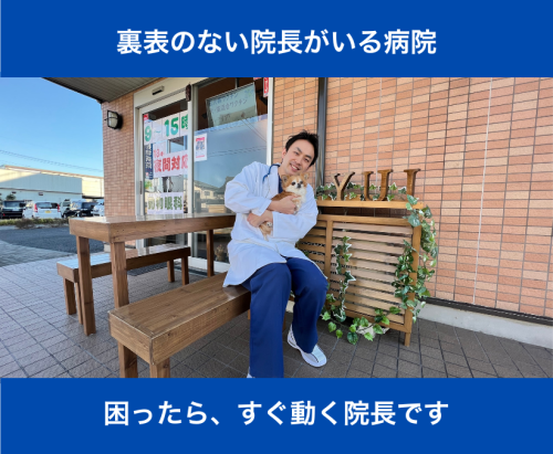 【戸田】パート看護師｜未経験ＯＫ！｜～15時の珍しい職場 
