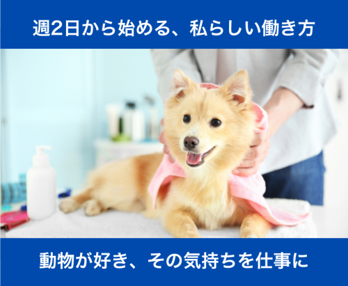 【トリマー】時給1300～2000円｜病院併設｜週2～OK