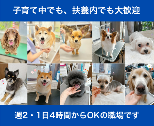 【トリマー】時給1300～2000円｜病院併設｜週2～OK