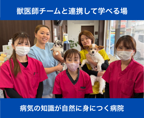 【トリマー】時給1300～2000円｜病院併設｜週2～OK