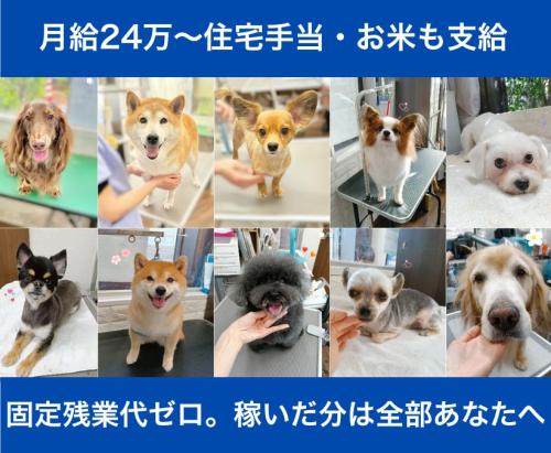 【トリマー】圧倒的福利厚生！｜月給24～42万｜病院併設