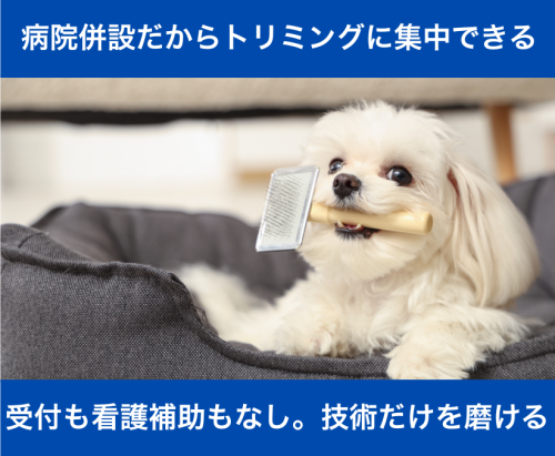 【トリマー】圧倒的福利厚生！｜月給24～42万｜病院併設