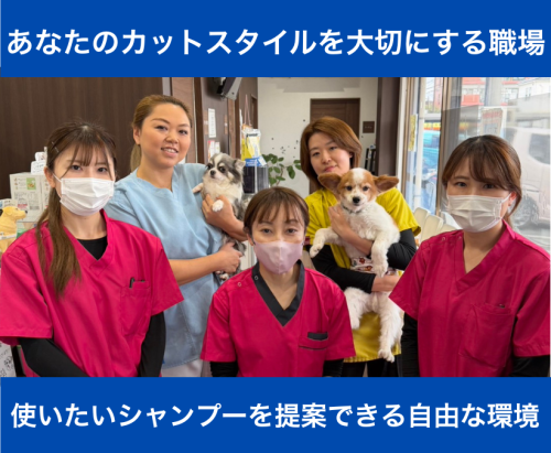 【トリマー】圧倒的福利厚生！｜月給24～42万｜病院併設