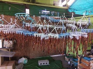 動物看護士：　アルバイト募集　未経験OK。　実習生も歓迎。