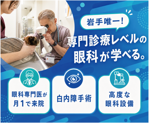 【獣医師】入社祝金20万｜岩手唯一眼科専門｜月30～50万 