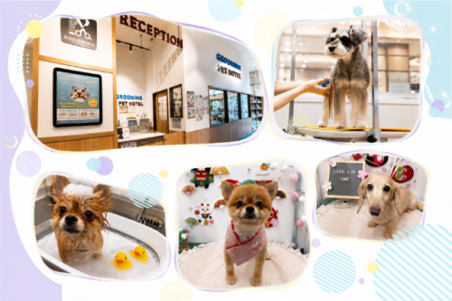 ペテモグルーミングサロン太田店【正社員・パート】