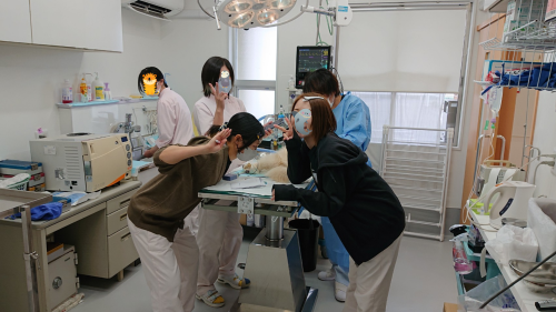 獣医師募集  群馬県