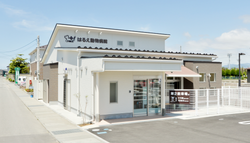 福井県　愛玩動物看護師募集　経験者