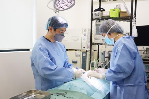 【獣医師・大森】若手から執刀に挑戦｜幅広い症例で着実に成長