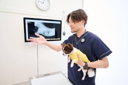 【愛玩動物看護師・瀬谷】子育てと両立！ショップ併設の動物病院