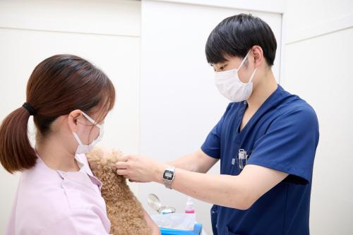 【受付・瀬谷】幅広い知識が身につく！ショップ併設の動物病院