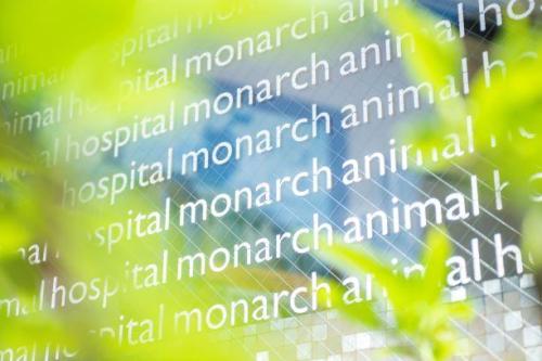 ▼入社ボーナス10万円！目黒モナーク動物病院（東京都目黒区）
