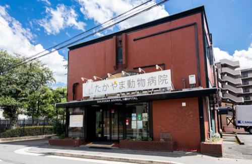 急募⭐︎ 動物看護師さんパートタイマー募集