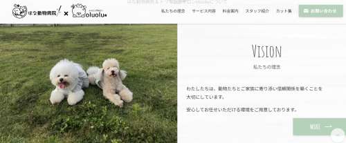 獣医師、募集します！！