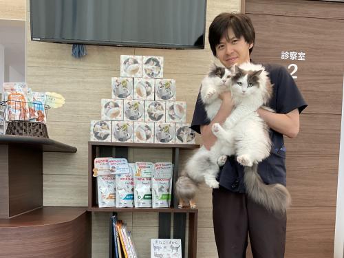 動物看護師募集