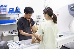 CT･MRI画像診断に興味ある獣医師募集！画像診断未経験歓迎