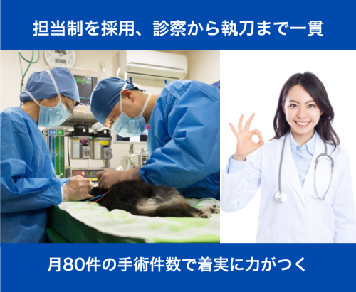 【日祝休み】獣医｜賞与4ヶ月｜独立支援｜症例1日100件以上