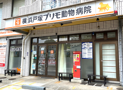 【横浜戸塚プリモ動物病院】動物看護師募集！！