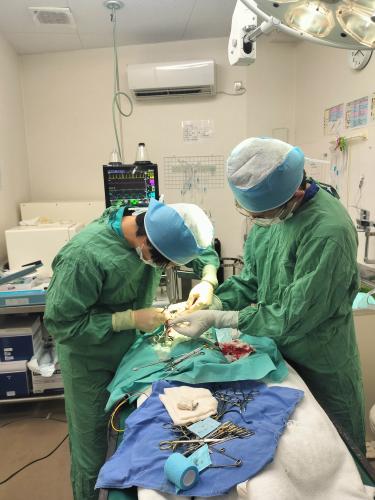【獣医師】分院長登用もあり☆仙台東にて医療センター開院☆